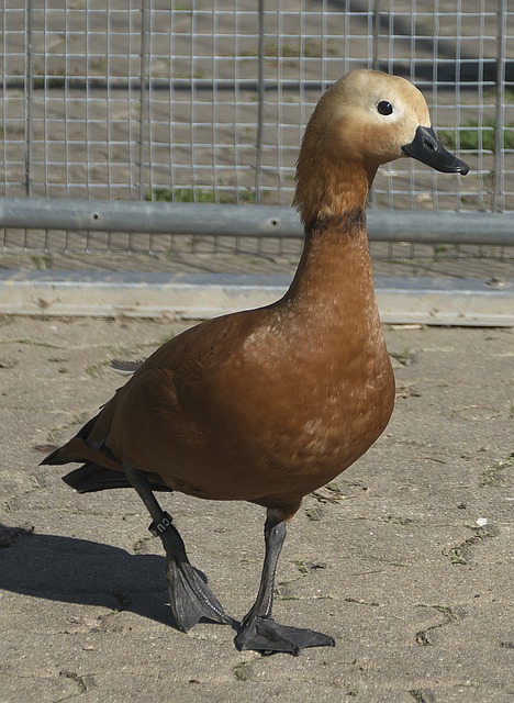 与经济实力