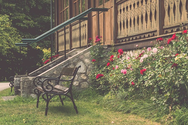 自然的静谧 自然的静谧