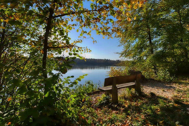 2023甘伯杯決賽巴塞羅那4-2熱刺 巴薩16歲妖星替補登場10分鐘造3球助隊逆轉奪冠！.