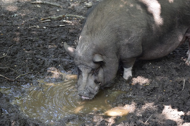 再度迎来全 再度迎来全