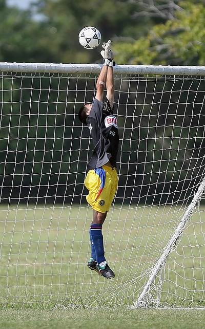 热刺球迷带 热刺球迷带